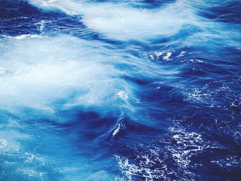 sudoku special edition screenshot 2